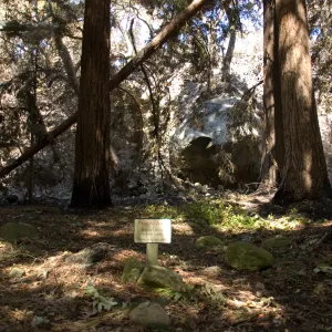 Santa Barbara Botanic Garden after the Jesusita Fire, Redwood section and Mission Creek
