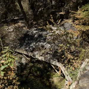 Santa Barbara Botanic Garden after the Jesusita Fire, burned slope near Aqueduct and Fiber Arts Exhibit