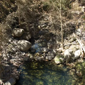 Santa Barbara Botanic Garden after the Jesusita Fire, burned vegetation below Mission Dam