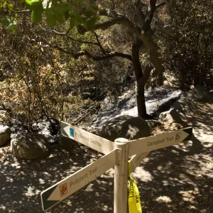 Santa Barbara Botanic Garden after the Jesusita Fire, directional signage