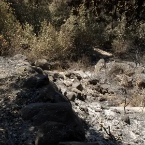 Pritchett Trail looking down large rocky drainage to canyon bottom after the Jesusita Fire