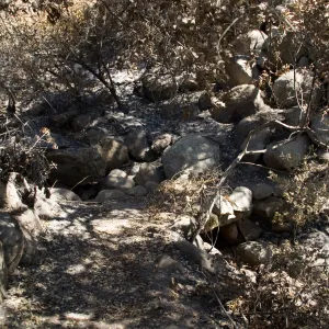 foot bridge and drainage ditch on Pritchett Trail after the Jesusita Fire