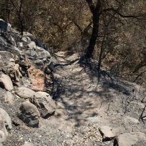 site of burned wood bench located on Pritcehtt Trail after the Jesusita Fire