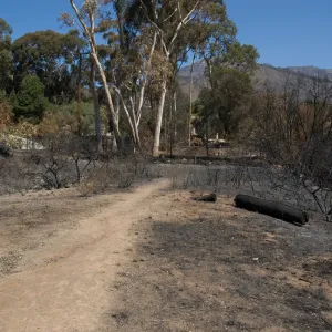 Pritchett Trail at Tunnel Road gate after the Jesusita Fire