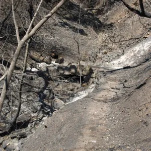 stone foot bridge on Pritchett Trail after the Jesusita Fire
