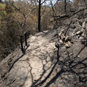 site of burned wood bench on Pritchett Trail after the Jesusita Fire