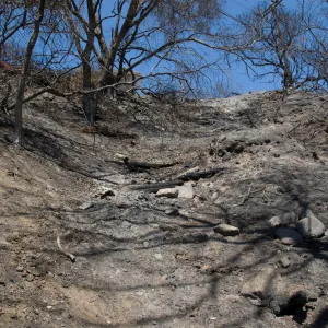 slope ablove Pritchett Trail and below tunnel Road after the Jesusita Fire
