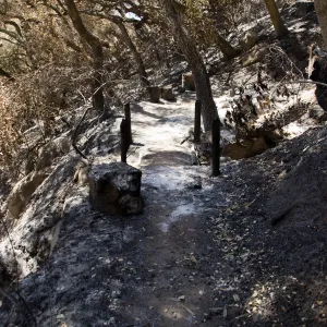 foot bridge over drainage culvert on Pritchett Trail after the Jesusita Fire