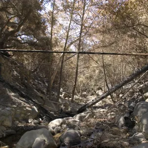Campbell Bridge after the Jesusita Fire