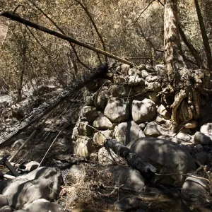 Campbell Bridge after the Jesusita Fire