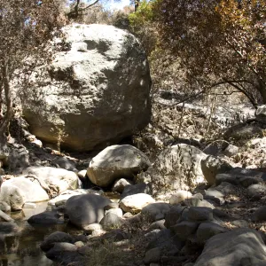 Boulder in Mission Creek after the Jesusita Fire