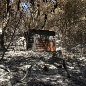 burned metal shed in Mission Canyon after the Jesusita Fire