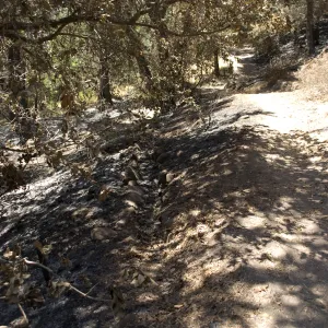 old stone aqueduct uncovered after the Jesusita Fire