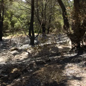 top of Island Section after the Jesusita Fire