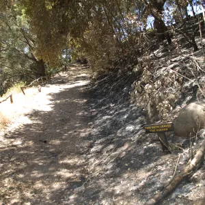 path exiting the Garden from the Island Section after the Jesusita Fire