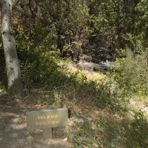 unburned Island Section Sign after the Jesusita Fire