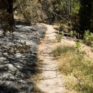 Island Section after the Jesusita Fire