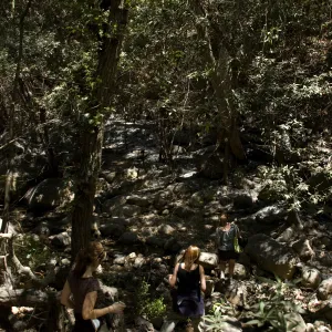Mission Creek crossing from Canyon Trail to Creek Trail after the Jesusita Fire