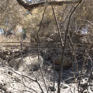 Campbell Trail after the Jesusita Fire