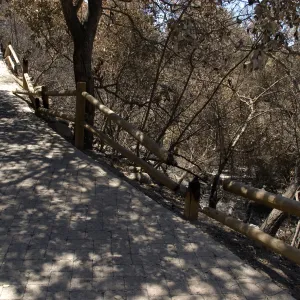 burned railing along Campbell Trail after the Jesusita Fire