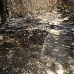Picnic Area after the Jesusita Fire