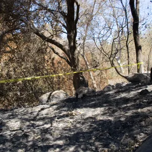 burned fence adjacent to Picnic Area after the Jesusita Fire