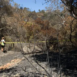 Canyon lookout at Picnic Area after the Jesusita Fire