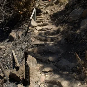 Campbell Trail staircase after the Jesusita Fire