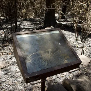 burned Fiber Arts Display case after the Jesusita Fire