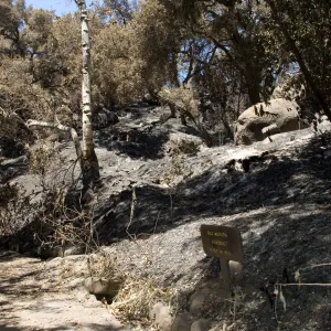 Old Mission Aqueduct with wooden sign after the Jesusita Fire