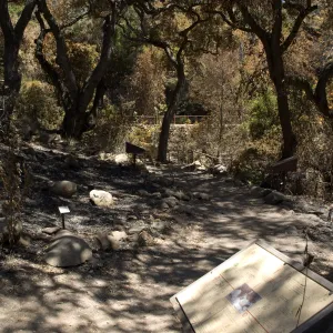 Fiber Arts Display after the Jesusita Fire