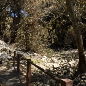 extension of Old Mission dam at upper pool of Mission Creek after the Jesusita Fire