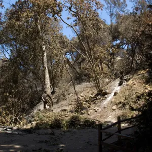 Pavered landing in Redwood Section after the Jesusita Fire