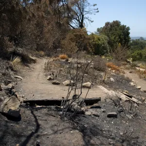 Meadow View section after the Jesusita Fire