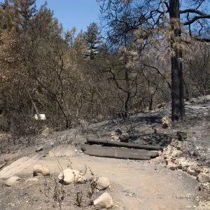 top of Meadow View section with Woodland Trail behind after the Jesusita Fire