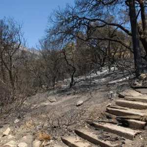 Wood steps above the Meadow View after the Jesusita Fire