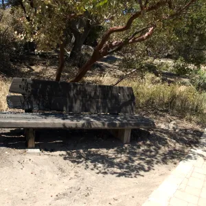 burned wood bench after the Jesusita Fire