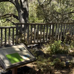 'Gardening in the Shade', burned railing along the canyon rim, adjacent to the cottage, after the Jesusita Fire
