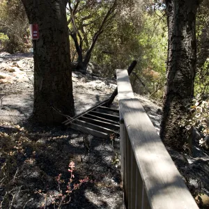 burned deck and railing along the canyon rim, adjacent to the Cottage, after the Jesusita Fire