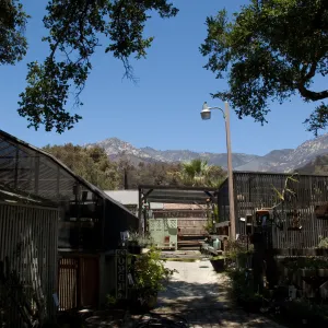 Growers Nursery, with burned oak canopy behind, after the Jesusita Fire
