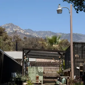 Garden Growers Nursery, with burned area behind, after the Jesusita Fire
