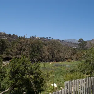 view from parking lot across Meadow to ridge above Tunnel Road after the Jesusita Fire
