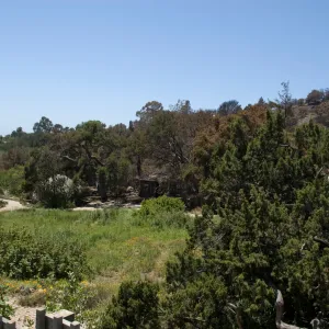 View of the Meadow from the parking lot after the Jesusita Fire