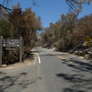 Garden entrance along Mission Canyon Rd after the Jesusita Fire