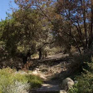 stone steps to the Porter Trail after the Jesusita Fire, looking north-east