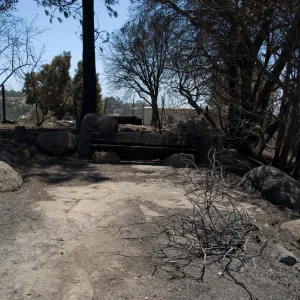 burned Mr. and Mrs. William Stratton Porter Bench (bench #64) at top of Porter Trail after the Jesusita Fire