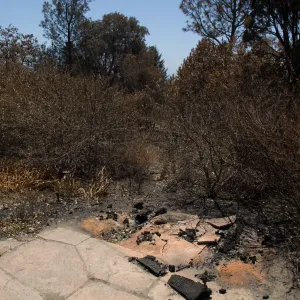 burned wood bench at the top of the Porter Trail after the Jesusita Fire