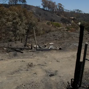 burned fence and gate, between the Porter Trail and Chip Pile. after the Jesusita Fire
