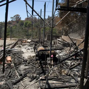 burned lath house after the Jesusita Fire