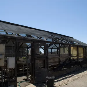 burned Horticulture nursery lath house, after the Jesusita Fire